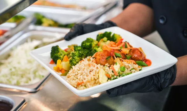 Plate of stir fry, fried rice and vegetables